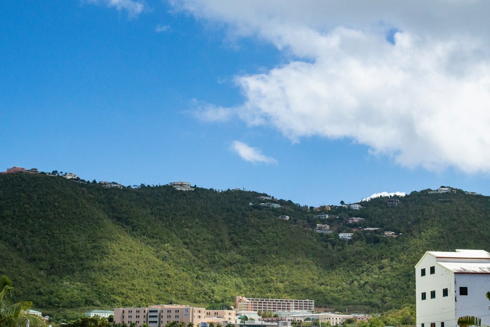 The hillside above Charlotte Amalie, St. Thomas